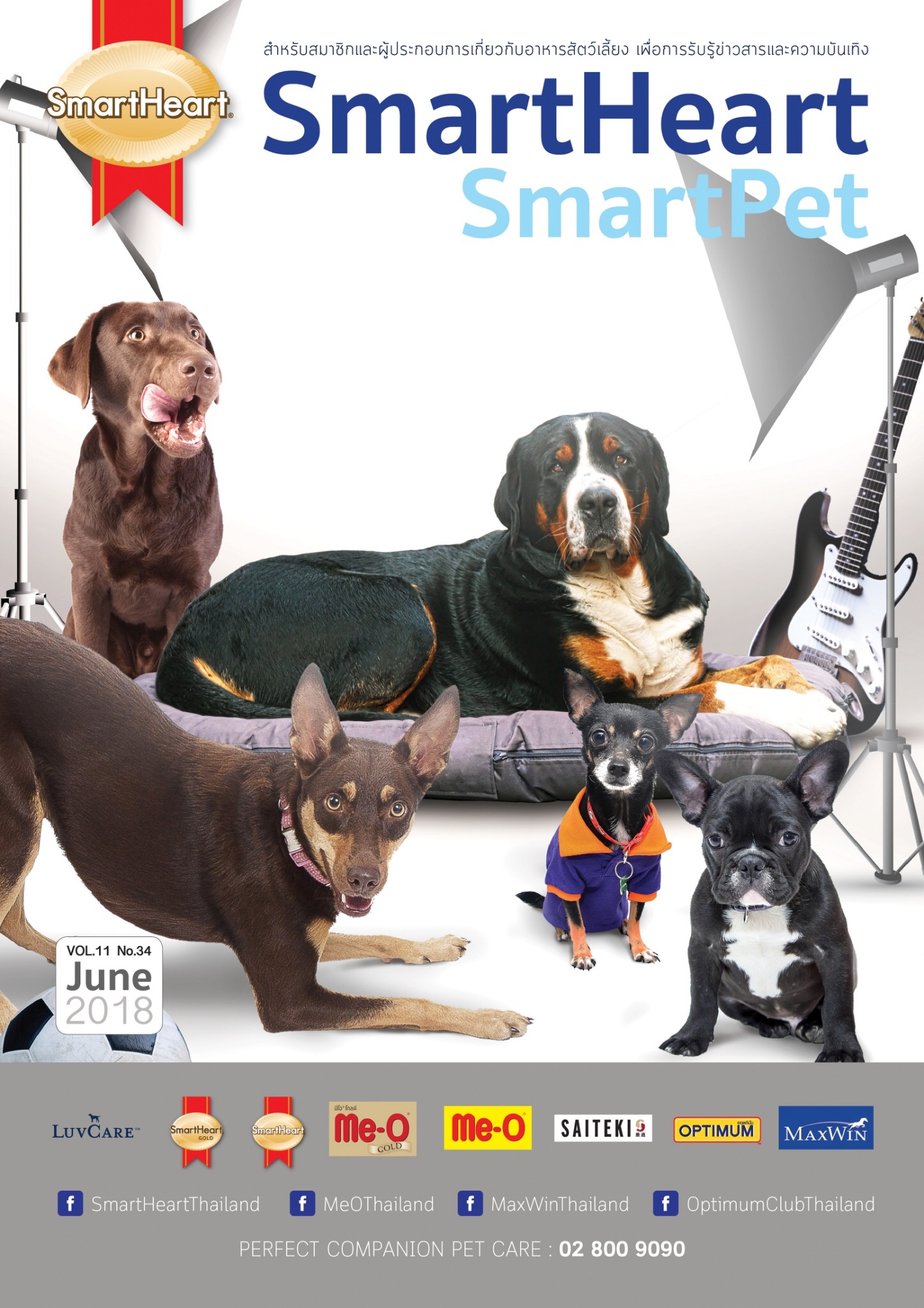 smartheart bear